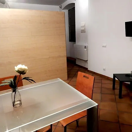 Loft Muralla Barrio Antiguo